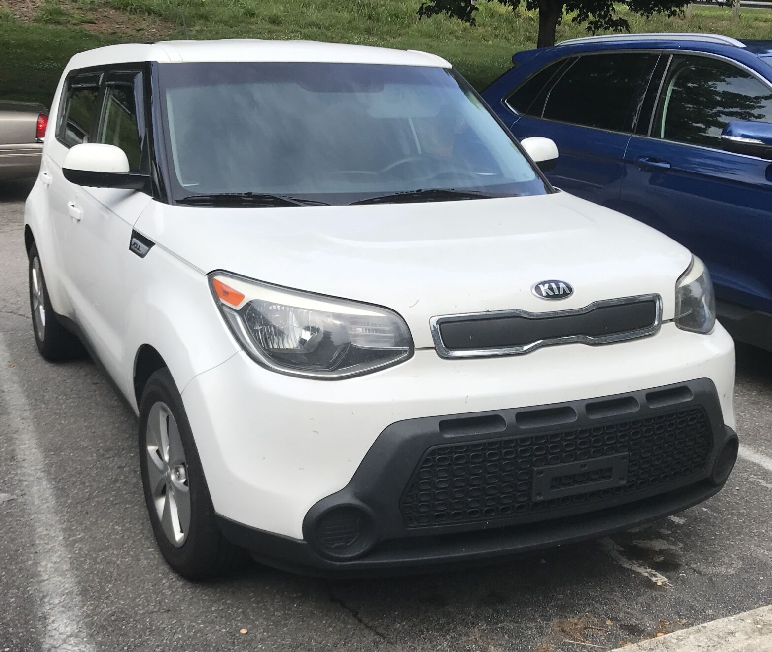 Type of vehicle sought in fatal hit and run